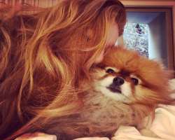 Shayna has immense love for animals and also owns one whom she treats more like a family member.